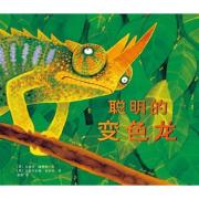 聪明的变色龙（荣获凯特·格林威大奖，讲述非洲寓言中的人生哲理）