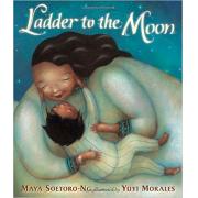 Ladder to the Moon Hardcover
